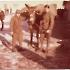 a Malles col mio amico e il suo mulo 1977