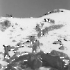 109^ Cp. Mortai 120, Campo Invernale Febbraio 1973, si scende dal Passo Piavenna, quota 2600 mt. 