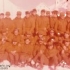Foto di gruppo della 109 comp. Mortai durante il campo invernale a Slingia 1978 